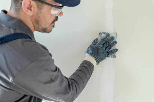 Professional Drywall and Painting Service in Pequot Lakes, MN